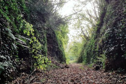 La Selva di Chiaiano, la ‘Silva Mater’ di Napoli