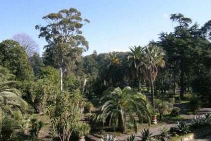 Storie di verde #02: l'Orto Botanico di Portici