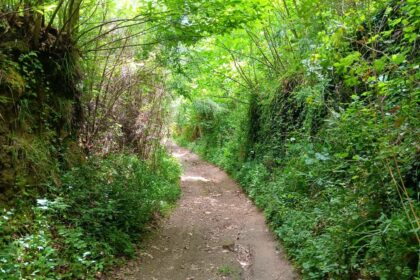 L’Arte di Camminare: Esercizi per l’Anima e il Cervello  - parte 01