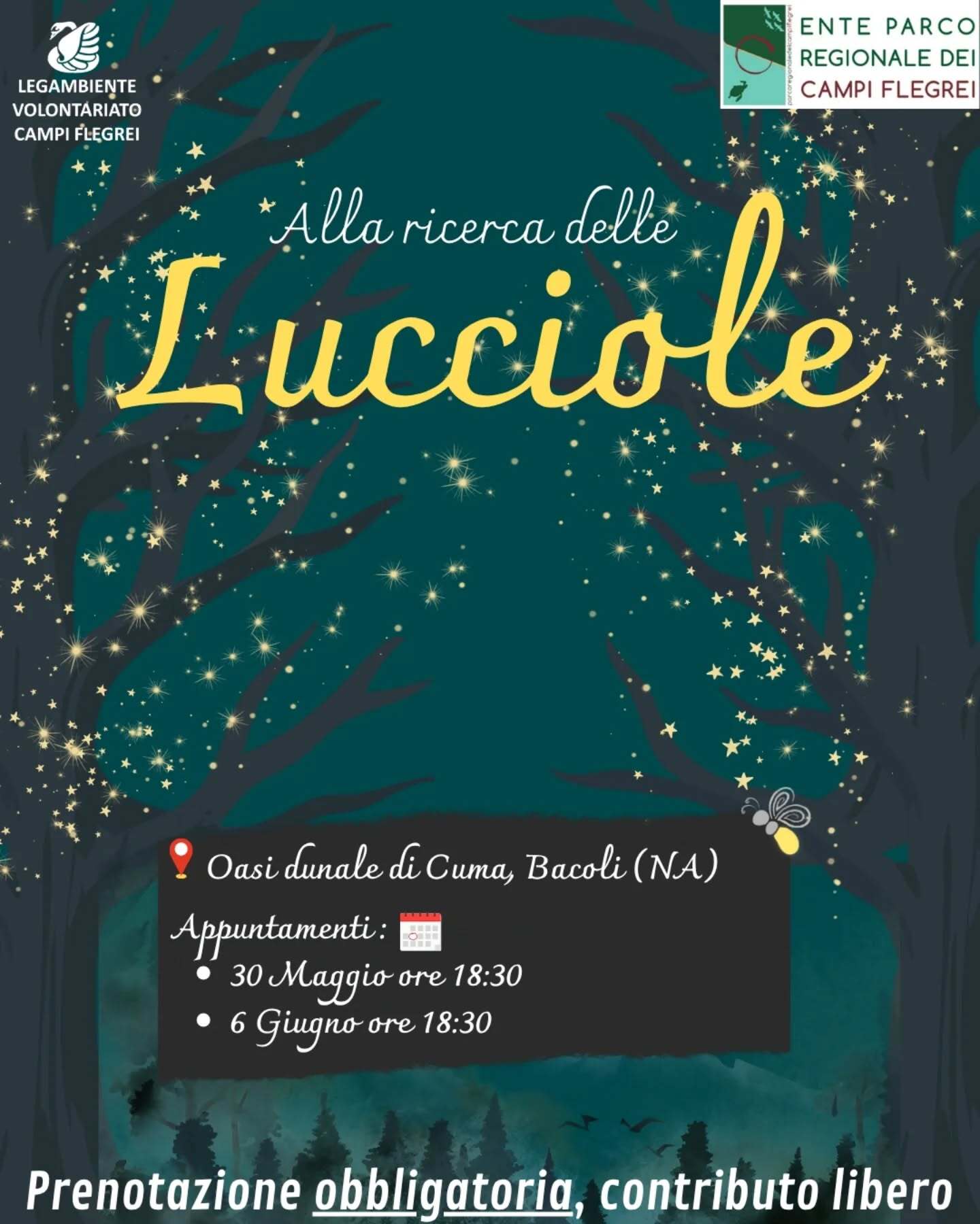 alla ricerca delle lucciole