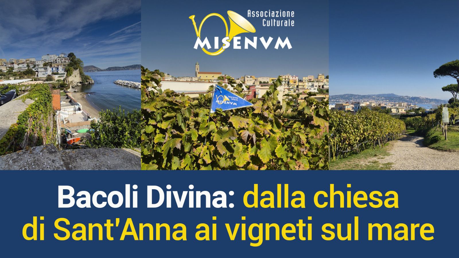 bacoli divina