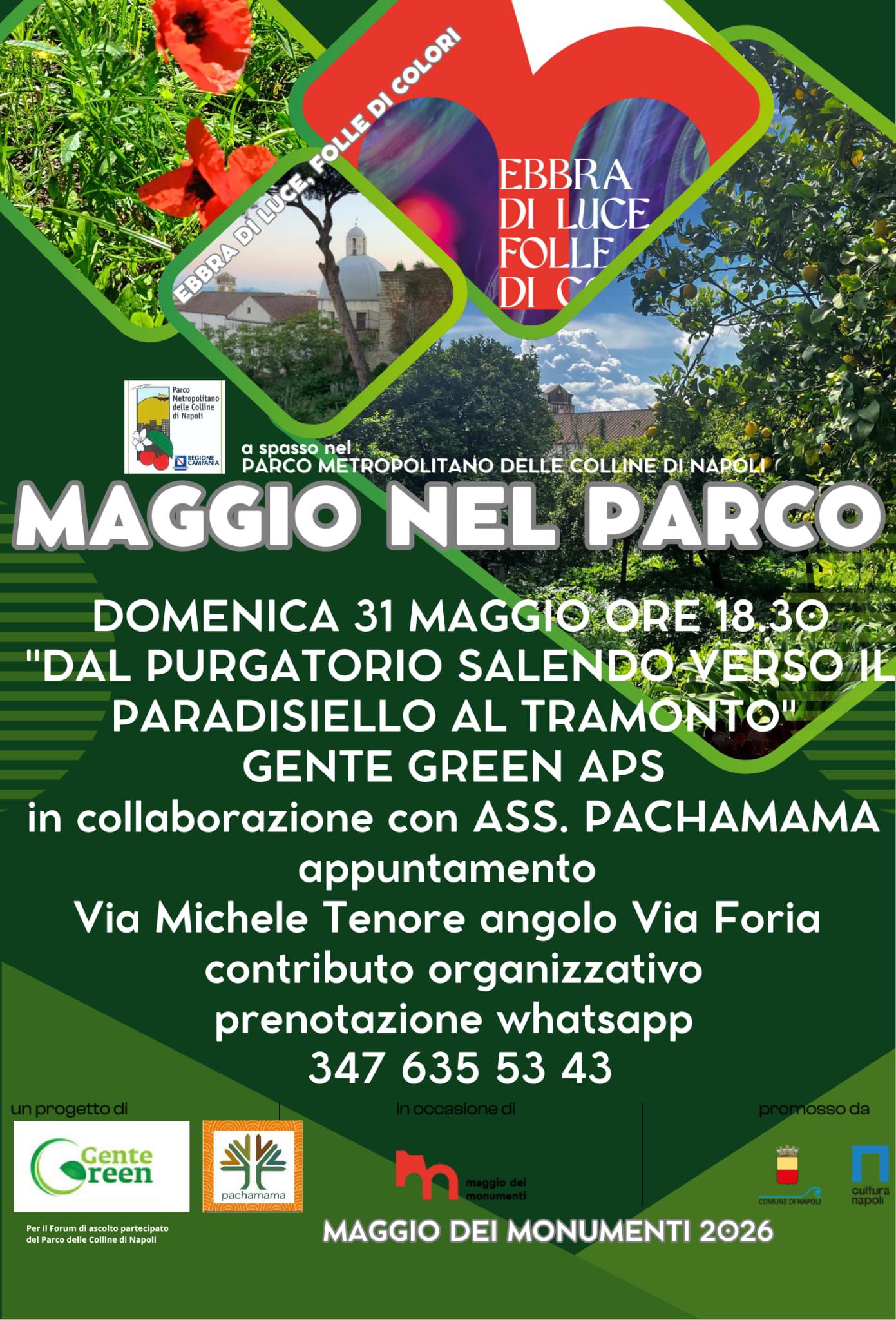 dal purgatorio