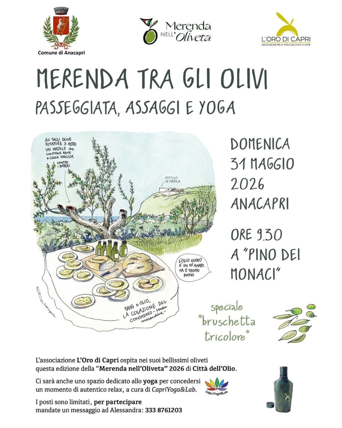 merenda tra gli olivi