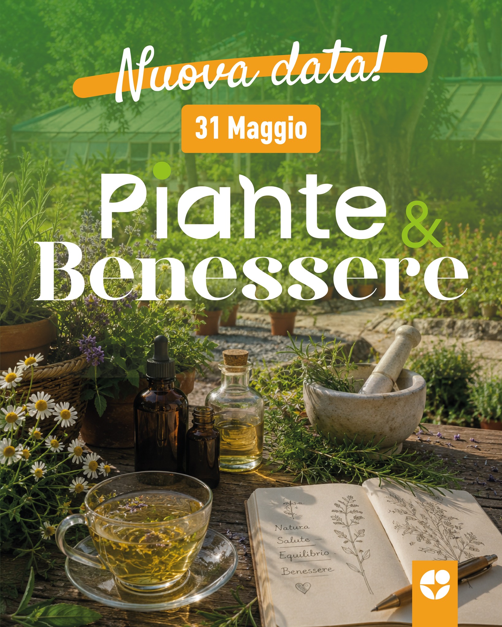 piante e benessere