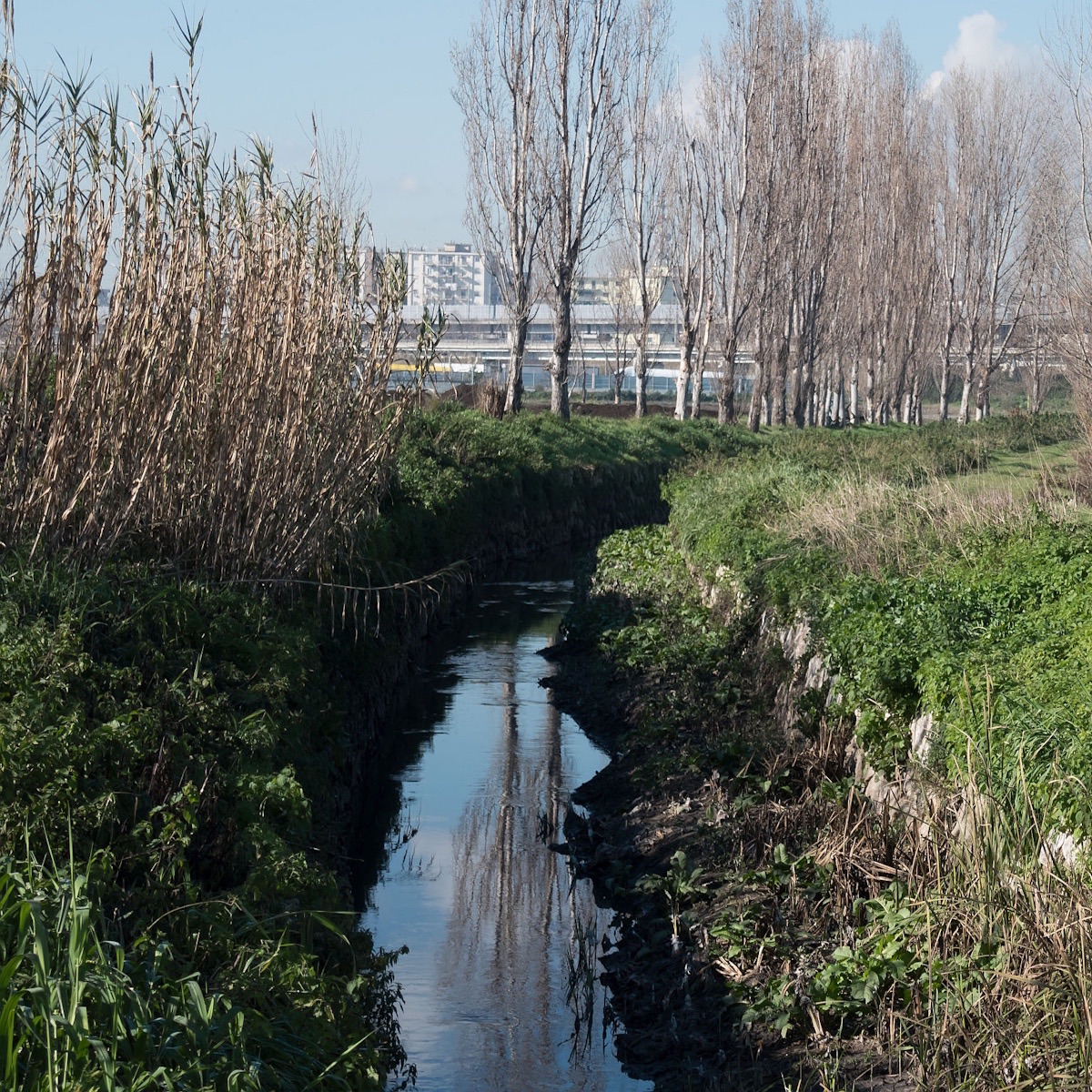 primavera della bolla