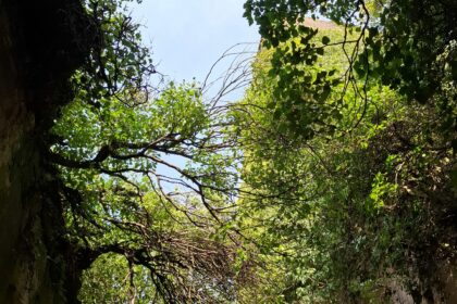 Luoghi e radici #05: il Villaggio della Baronessa e il Bosco della Contessa