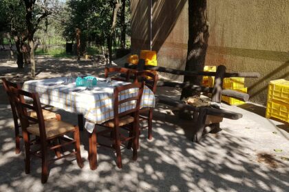 Masseria Cortile Grande: un agriturismo e una fattoria didattica in città