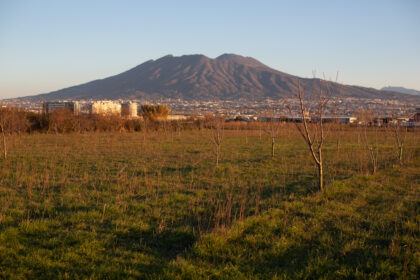 Masseria Ferraioli, una storia che continua a mettere radici