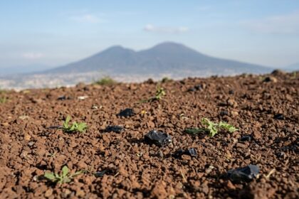 Terra di Fuoco: il segreto della fertilità nel suolo di Napoli